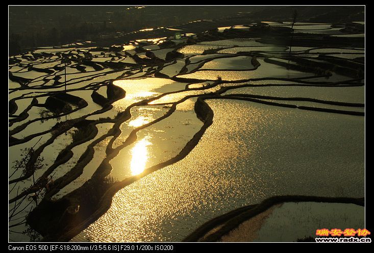 近距离接触梯田，感觉很亲切。
