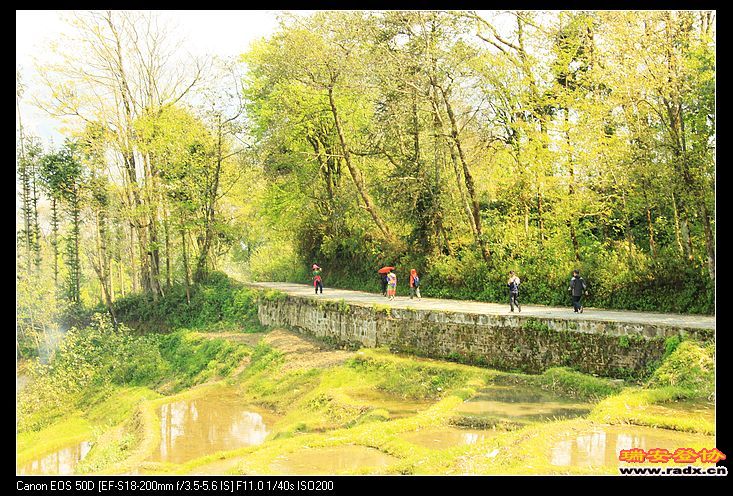 阳光充足，暴光过度。