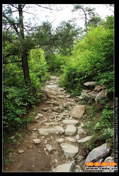 原来的路更适宜我们攀登哦。