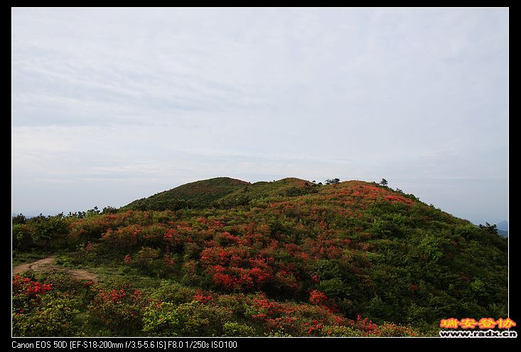 远眺桃源尖，气势亲和，融洽。