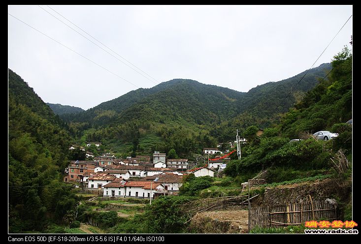 茶树坪村下的桃源自然村，离桃源尖看杜鹃需要约50分钟登山路程。