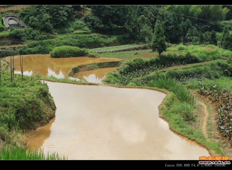 IMG_0504 - 副本.jpg