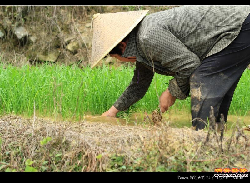 IMG_0514 - 副本.jpg