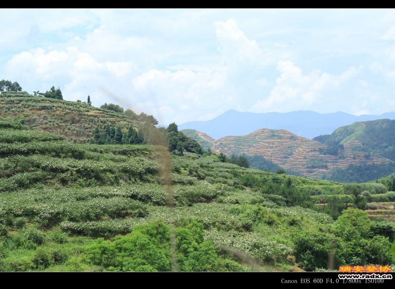 IMG_0497 - 副本.jpg