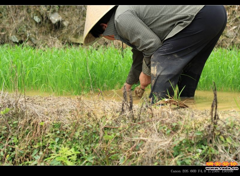 IMG_0513 - 副本.jpg