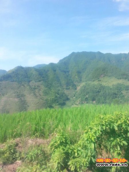 20130818_090735.jpg