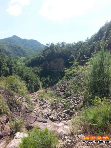 20130818_095357.jpg