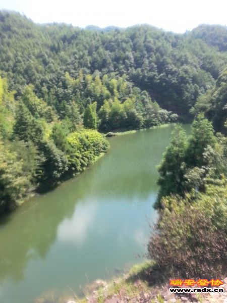 20130818_100126.jpg
