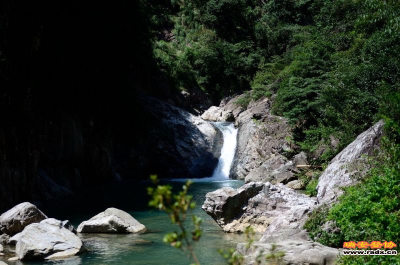 DSC_9907.jpg