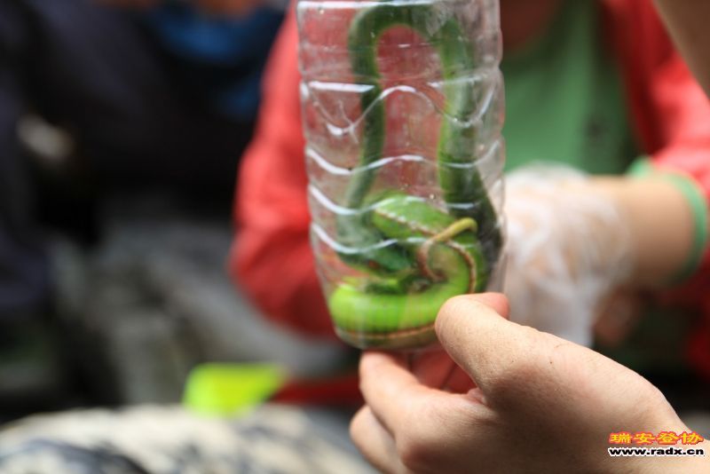 随拍098 - 副本.jpg