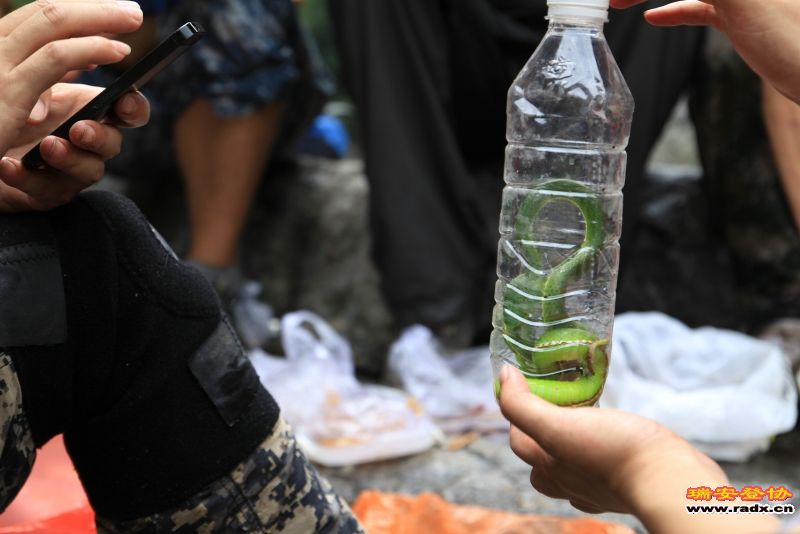 随拍097 - 副本.jpg