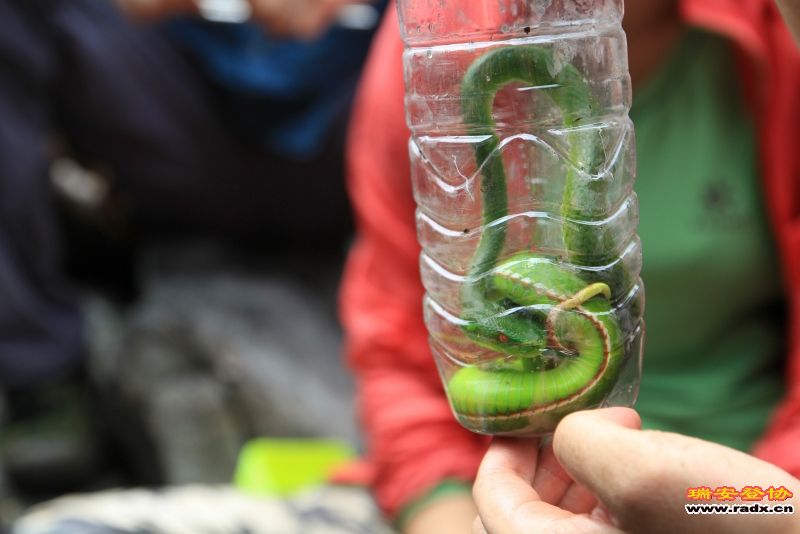 随拍099 - 副本.jpg