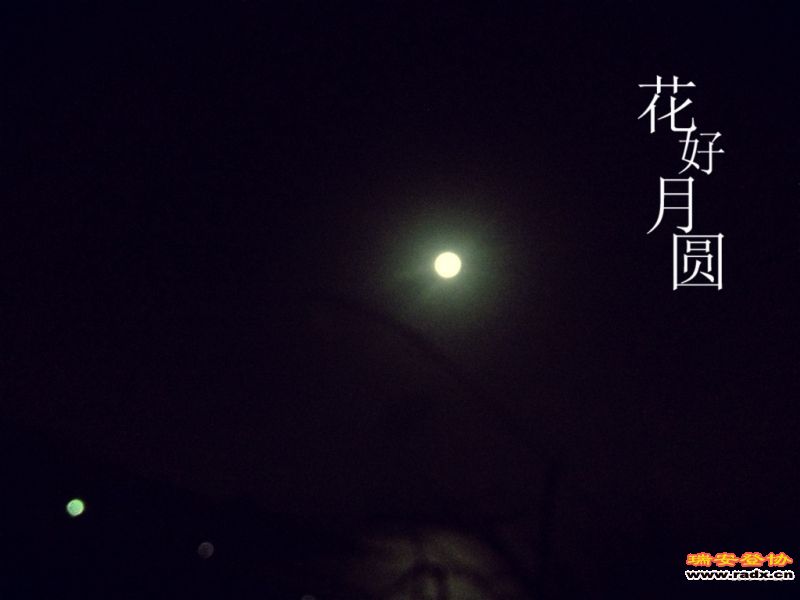 铜盘POCO 003.jpg