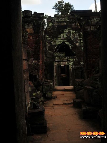 DSC_3941 - 副本.jpg