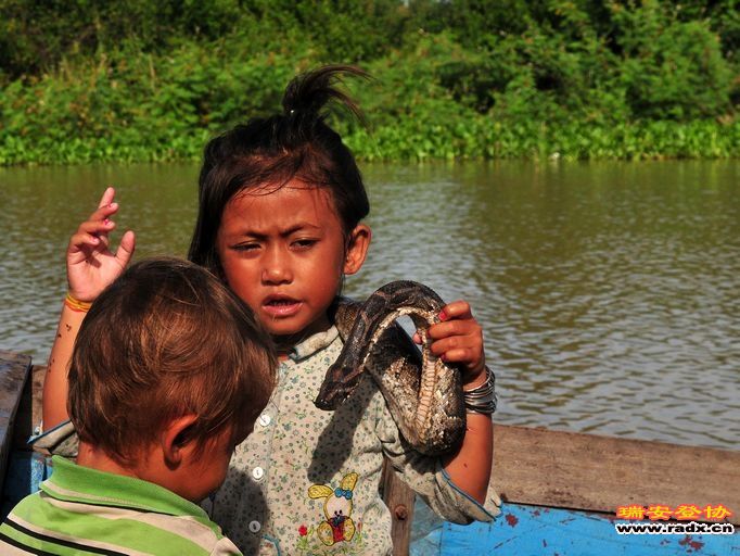 柬埔寨洞里萨湖-卖艺小孩.jpg
