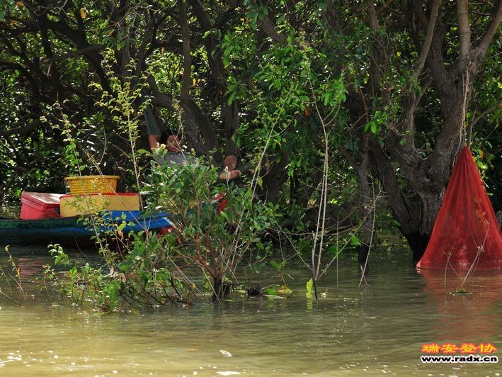 柬埔寨越南浮村-守网待鱼.jpg