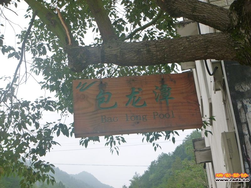 P1030225.jpg