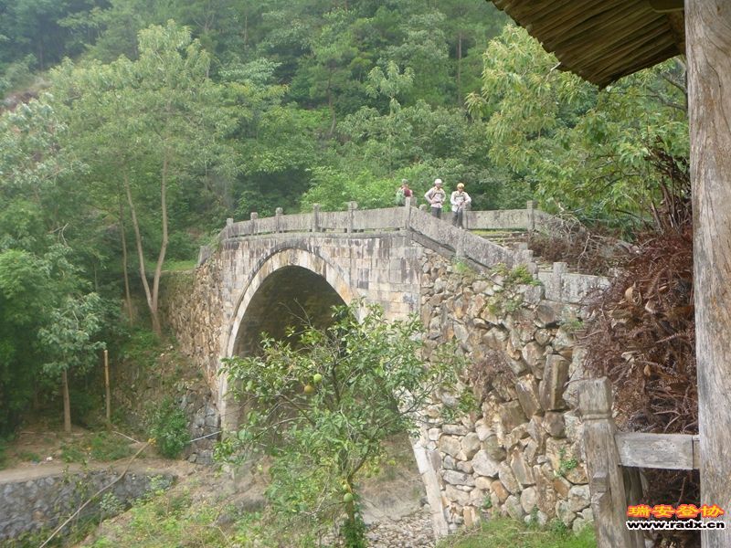 P1030239.jpg