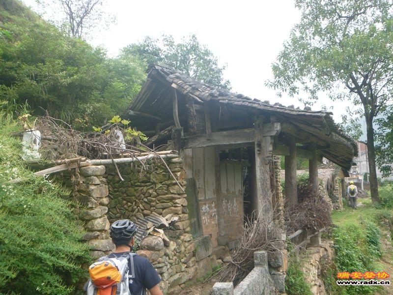 P1030250.jpg