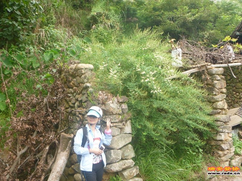 P1030251.jpg