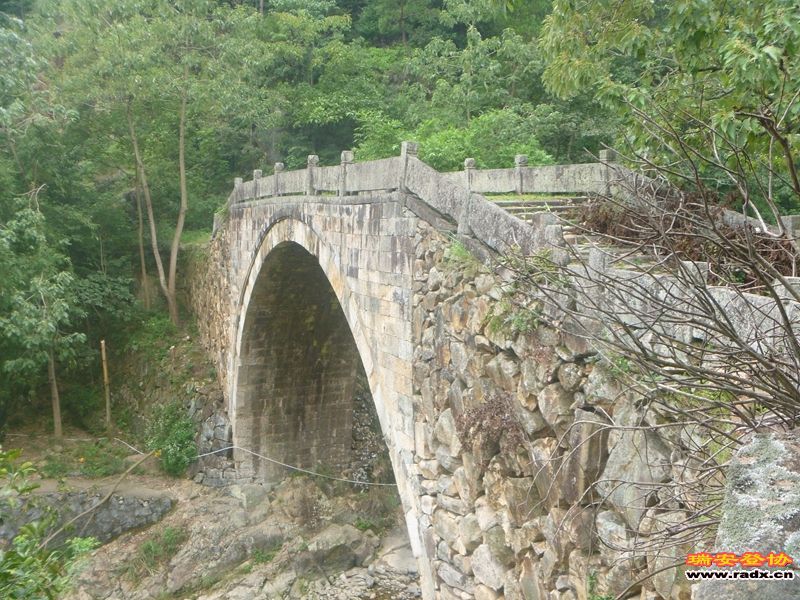 P1030252.jpg