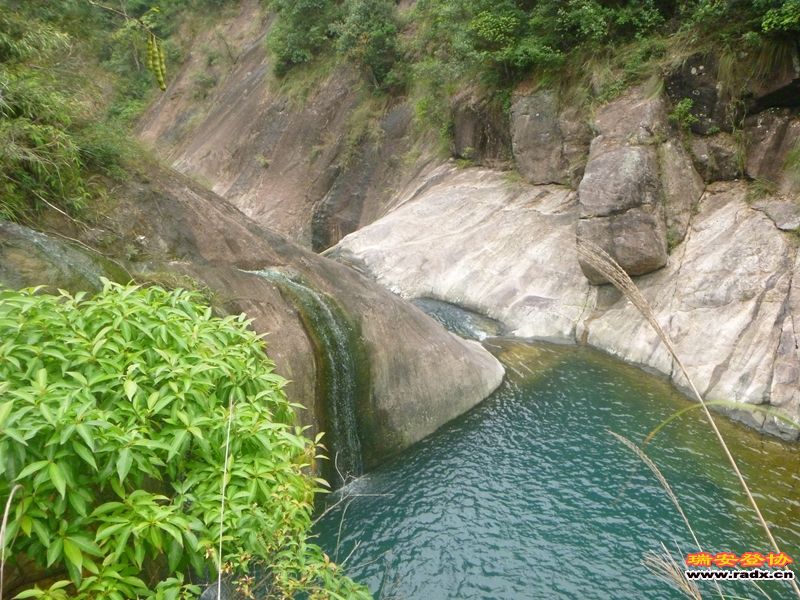 P1030269.jpg