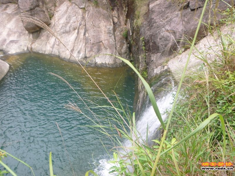 P1030270.jpg