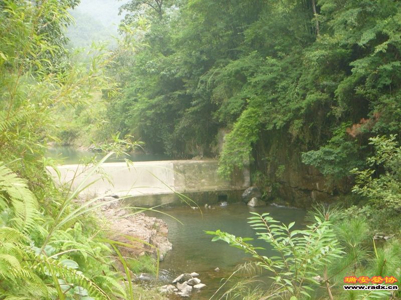 P1030300.jpg