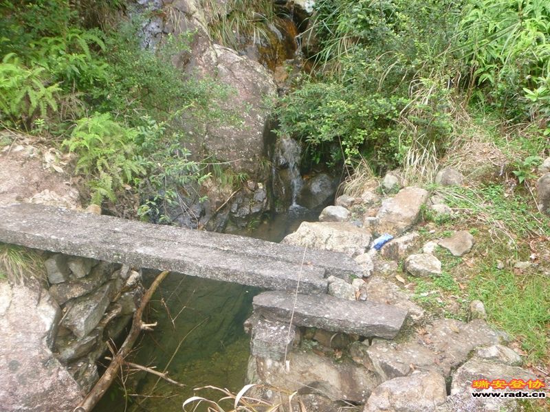 P1030306.jpg