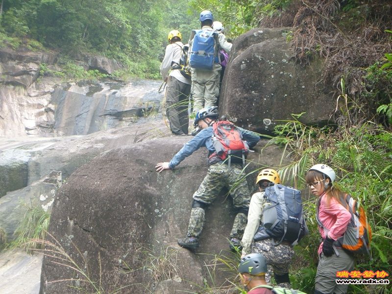 P1030332.jpg
