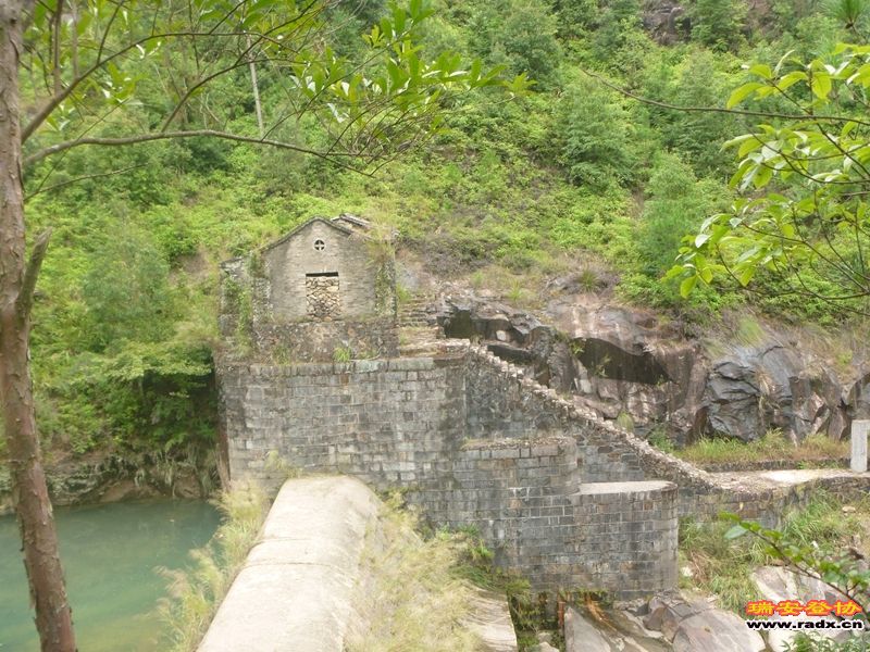 P1030367.jpg
