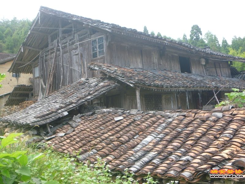 P1030537.jpg