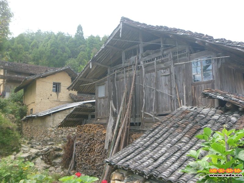 P1030538.jpg