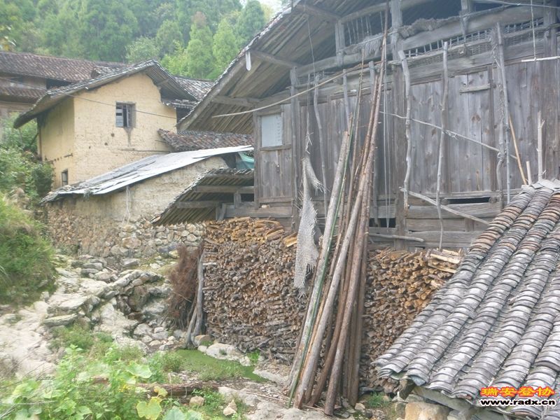 P1030539.jpg