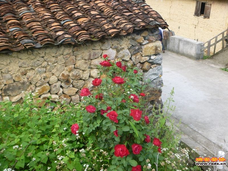 P1030540.jpg