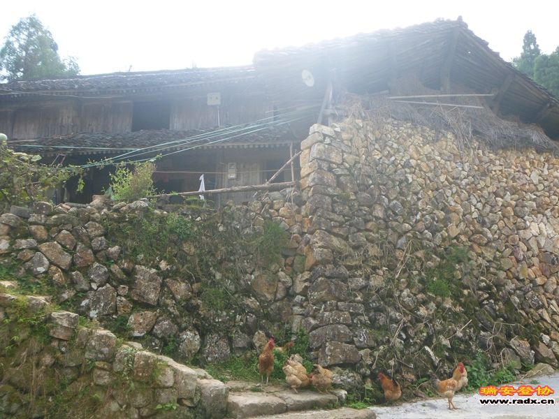 P1030541.jpg