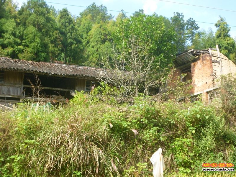P1030545.jpg