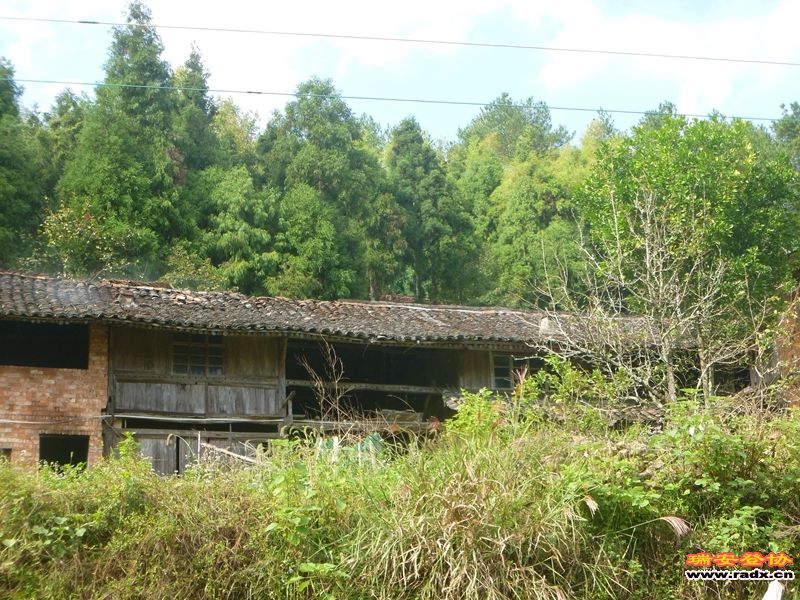 P1030546.jpg