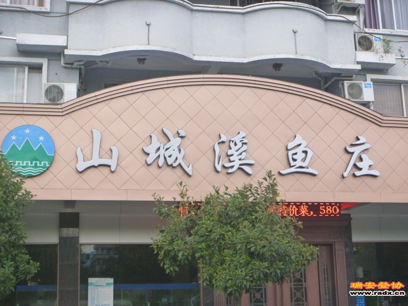 P1030547.jpg