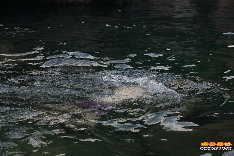 奇云山峡谷241 - 副本.jpg