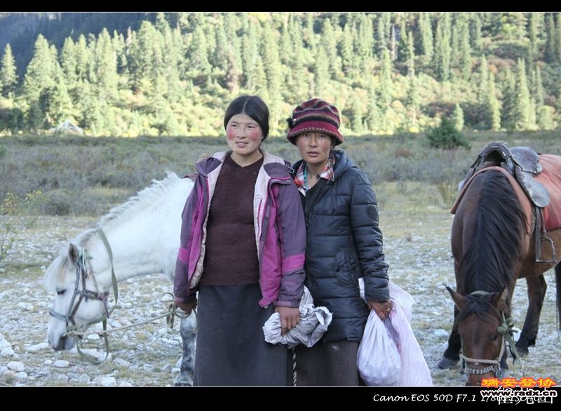 来请赤脚大仙的藏民