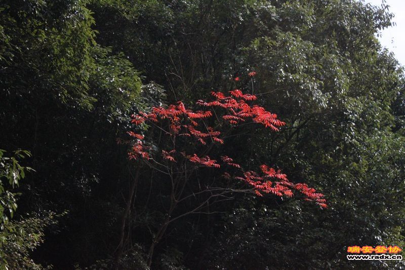照片 046.jpg
