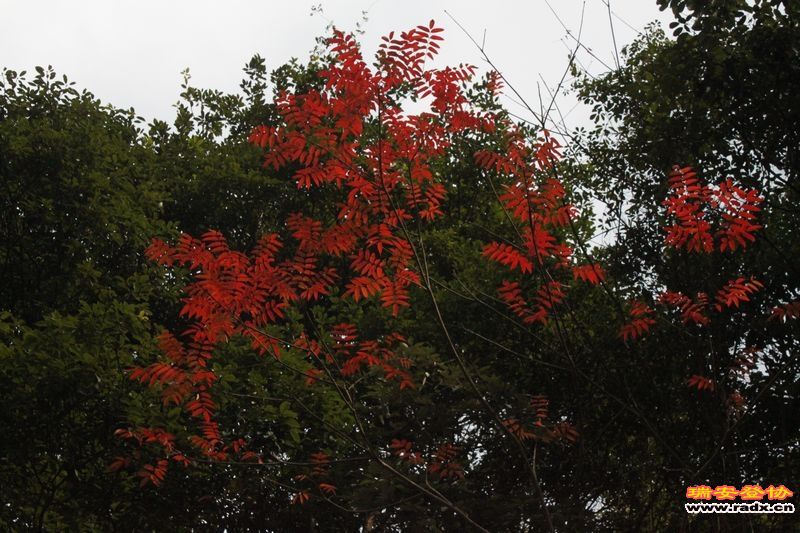 照片 047.jpg