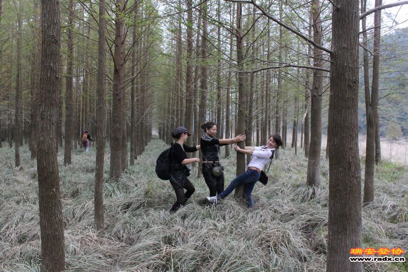 照片 072.jpg