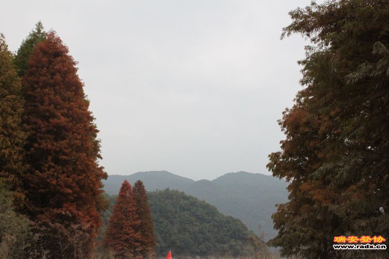 照片 076.jpg