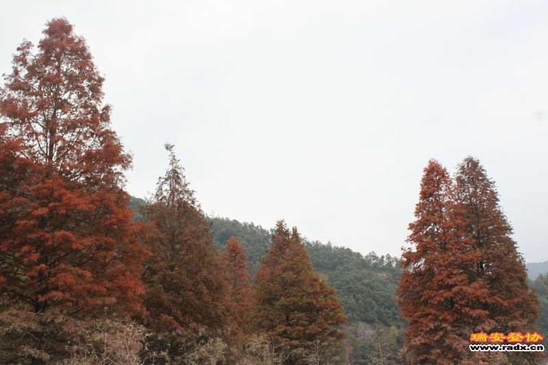 照片 077.jpg