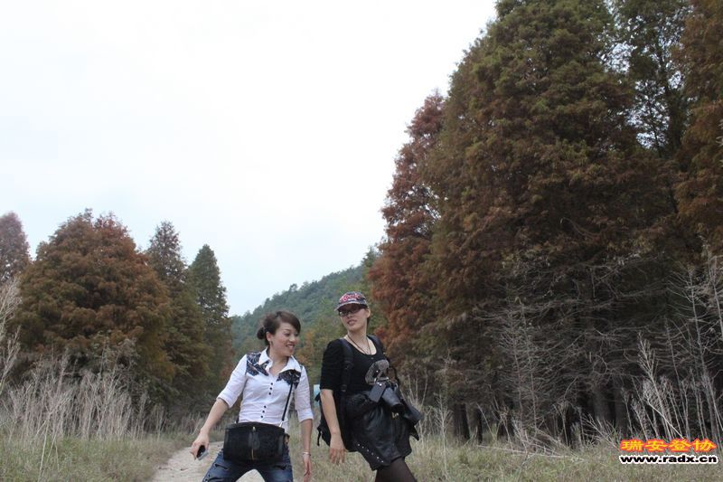 照片 081.jpg