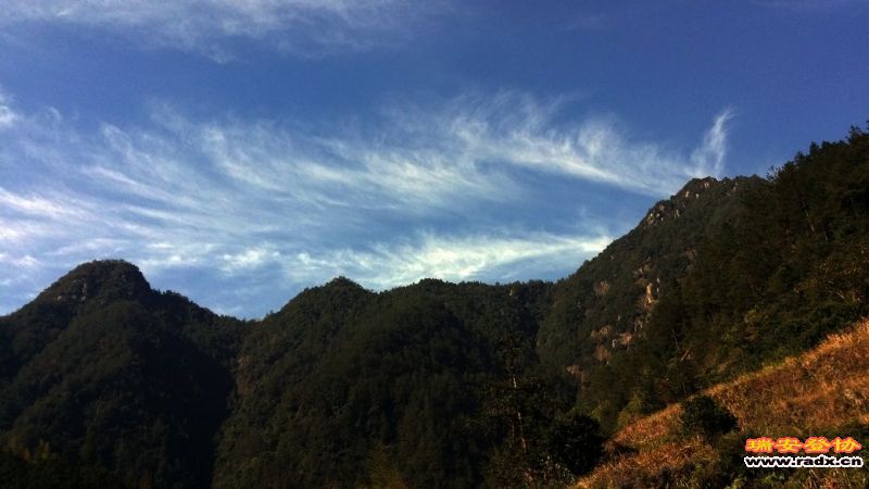 20131130_095333.jpg
