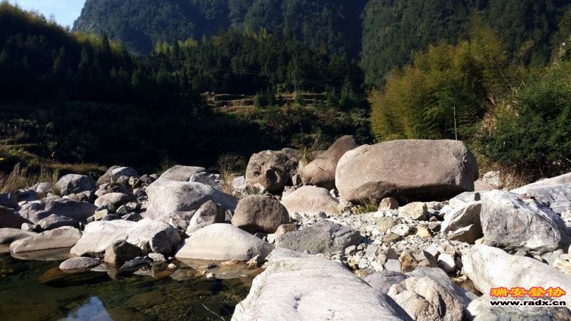20131130_095403.jpg