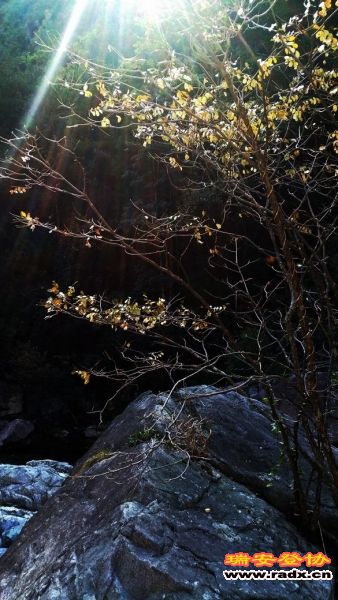 20131130_105701.jpg